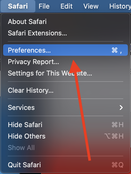 Google Translate Icon2